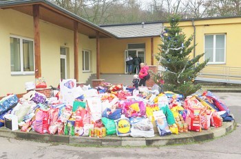 Пражане подарили бездомным собакам на Рождество полугодовой запас корма