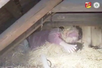 В Чехии преступник спрятался от полиции в сене: видео