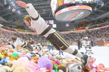 Хоккейные фанаты выбросили на лед 102 тыс. плюшевых медведей: видео