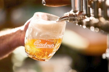 Budějovický Budvar сварил рекордный объем пива