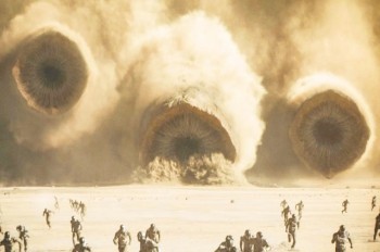 Названы самые кассовые фильмы в Чехии в 2024 году