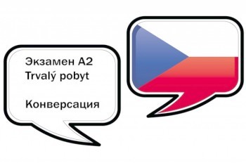 Готовимся к языковому экзамену на ПМЖ: часть «устное общение»