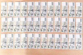 В Чехии сотрудница отправила мошенникам 800 тыс. крон своего работодателя