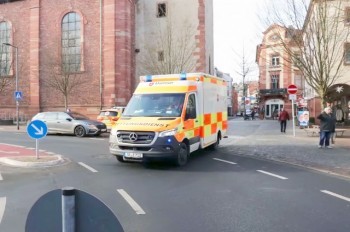 В Германии беженец зарезал 2-летнего мальчика и прохожего, пытавшегося защитить детей