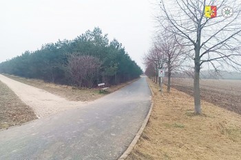 В пражском районе Летняны агрессор избил женщину в парке