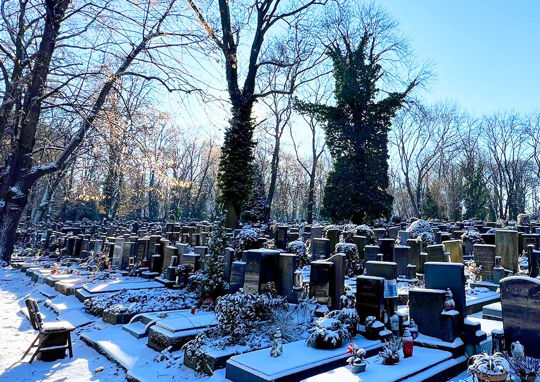 «Не сыграйте в ящик». Так управление кладбищами Праги предупредило горожан о гололеде