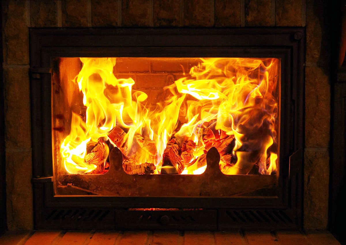 В Чехии эстет залез в чужой дом, разжёг камин, выпил шампанского и закусил кошачьим кормом