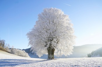 В Чехии зарегистрировали мороз в -30°C