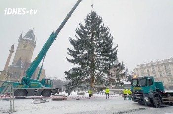 Со Староместской площади Праги убрали рождественскую елку: видео