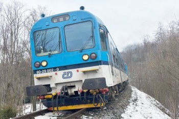 В Чехии пассажирский поезд сбил лошадь и сошел с рельсов