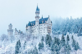 В Чехии любовная ссора иностранцев завершилась смертью 