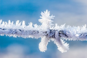 В Чехии зафиксировали мороз -29°C