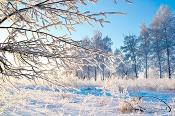 В Чехию идут морозы до -13°C