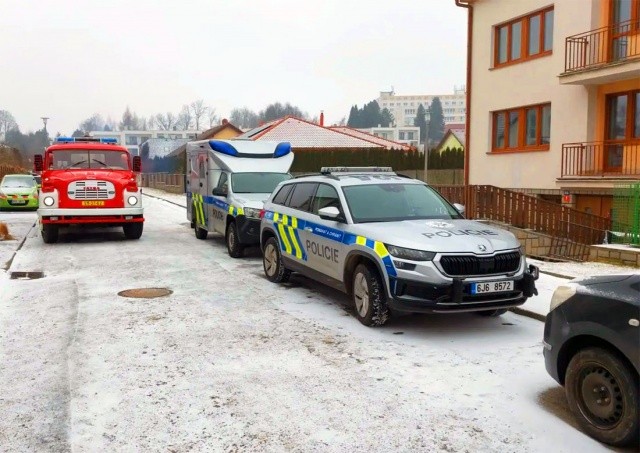 Житель Чехии застрелил родственника на глазах у полицейских