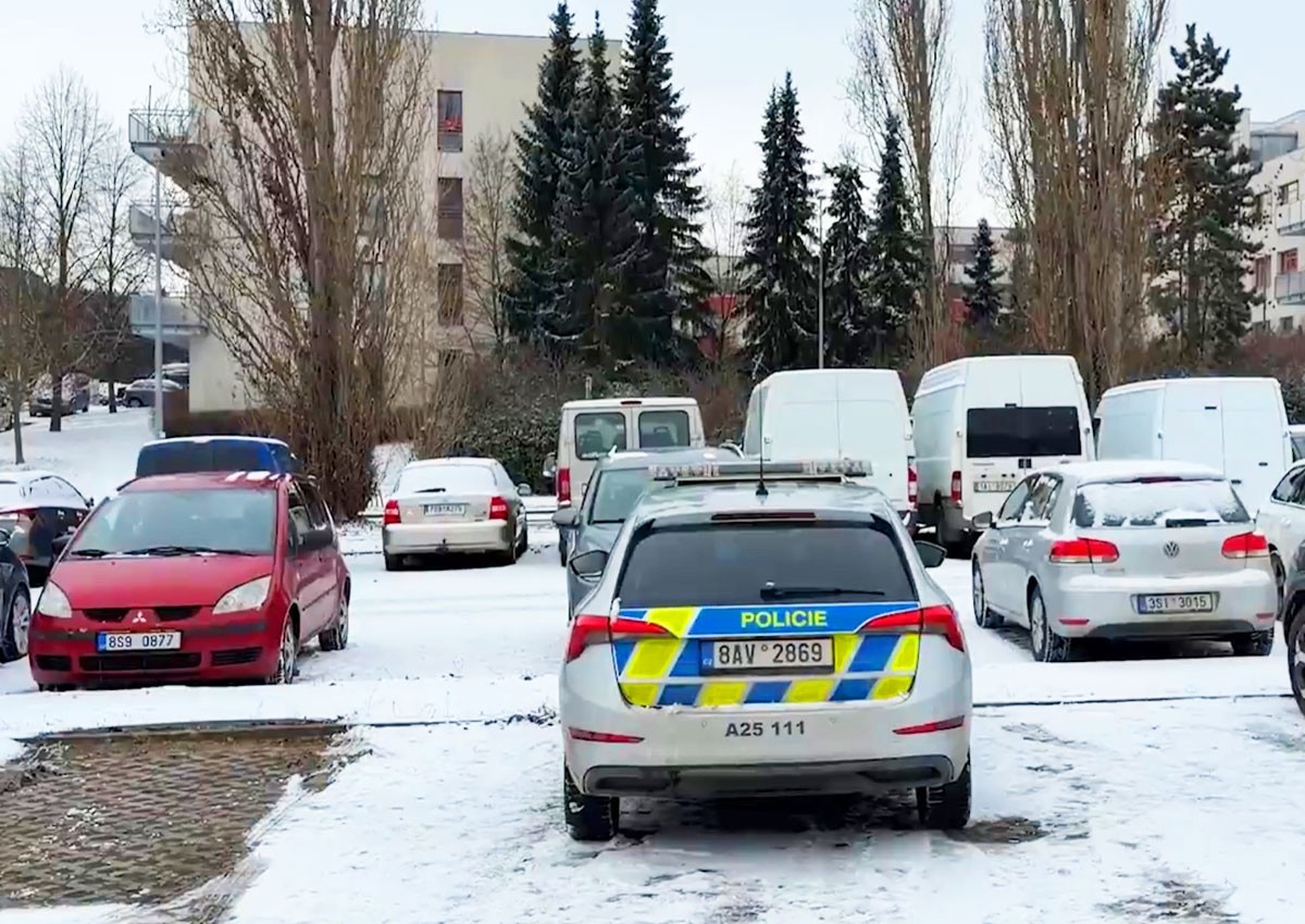 Правительство Чехии одобрило вторую волну специального ВНЖ для украинских беженцев