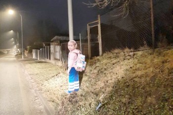 «Девочка стоит ночью у дороги совсем одна»: полиция Чехии приняла курьезный вызов