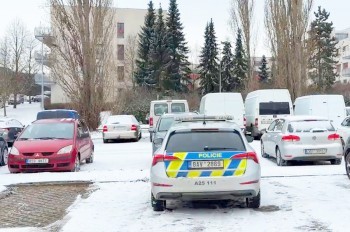 Правительство Чехии одобрило вторую волну специального ВНЖ для украинских беженцев