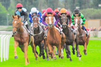 Владельцы проездных Lítačka смогут бесплатно посещать пражский ипподром