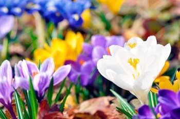 Воскресенье в Праге выдалось рекордно теплым