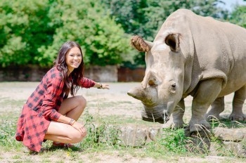Умер последний в мире самец северного белого носорога
