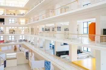 В Чехии произошла массовая драка из-за кошки