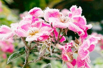 В Чехию идет похолодание до -6°C