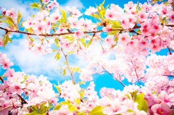 Синоптики: Чехию ждет аномально теплая неделя