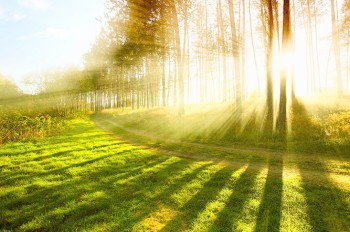 Десятки метеостанций в Чехии зафиксировали температурные рекорды 