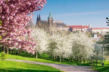 В Чехию идет потепление до 25°C