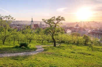 Сначала тепло, а затем похолодание: чешские синоптики опубликовали прогноз погоды на неделю