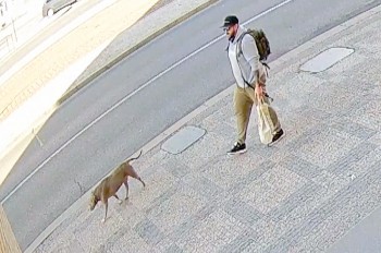 В Праге неизвестный выбил зубы случайному прохожему: видео