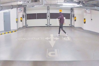 В Праге вор-домушник за копейки сдал в ломбард подлинник Гавранека 