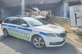 В Чехии бесстыдница пыталась покусать полицейских