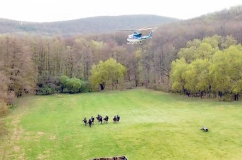Полицейских лошадей в Чехии тренировали не бояться вертолета: видео