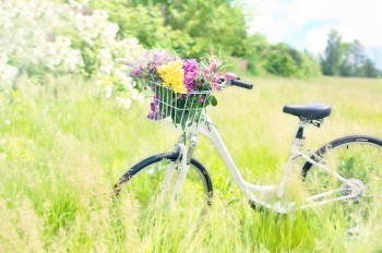 Лето близко: в ближайшие дни в Чехии потеплеет до +27°C