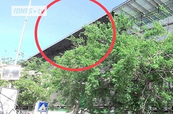 Рой пчел прилетел к торговому центру в центре Праги: видео