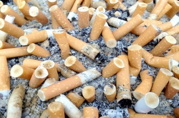 Мэрия Праги подхватила эстафету оригинальной борьбы с окурками