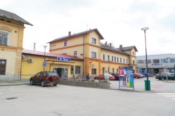 СМИ разузнали причину смерти 8-летнего мальчика в Чехии