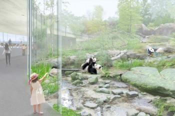 Пражский зоопарк показал, как будут выглядеть павильоны панд и белых медведей