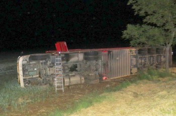 В Чехии пьяный водитель-иностранец опрокинул грузовик с коровами