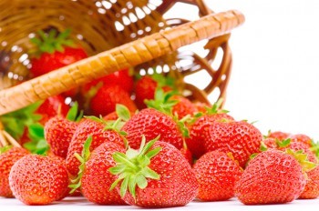 В субботу в Праге пройдет фестиваль клубники Jahodobraní