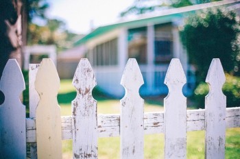 Глава сената Чехии предложил “стучать” на работающих по шварц-системе соседей