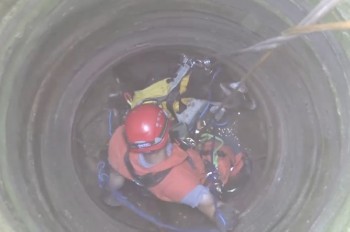 Козел упал в 10-метровый колодец у Праги