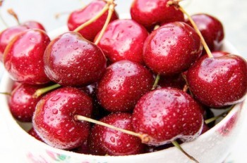 Где в Праге можно бесплатно собирать черешню