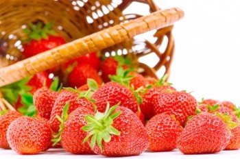 Фестиваль клубники пройдет в Праге 26 июня