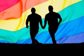 Правительство Чехии поддержало законопроект об однополых браках 