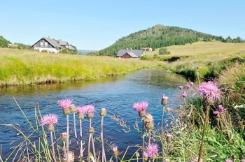 Чешские синоптики рассказали, какая погода будет в выходные