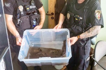 В Чехии неизвестный подкинул к дверям зоопарка очень редкого зверя