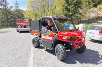 В чешском лесу умер немецкий велосипедист