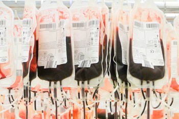 Доноры в Чехии получат дополнительные налоговые льготы